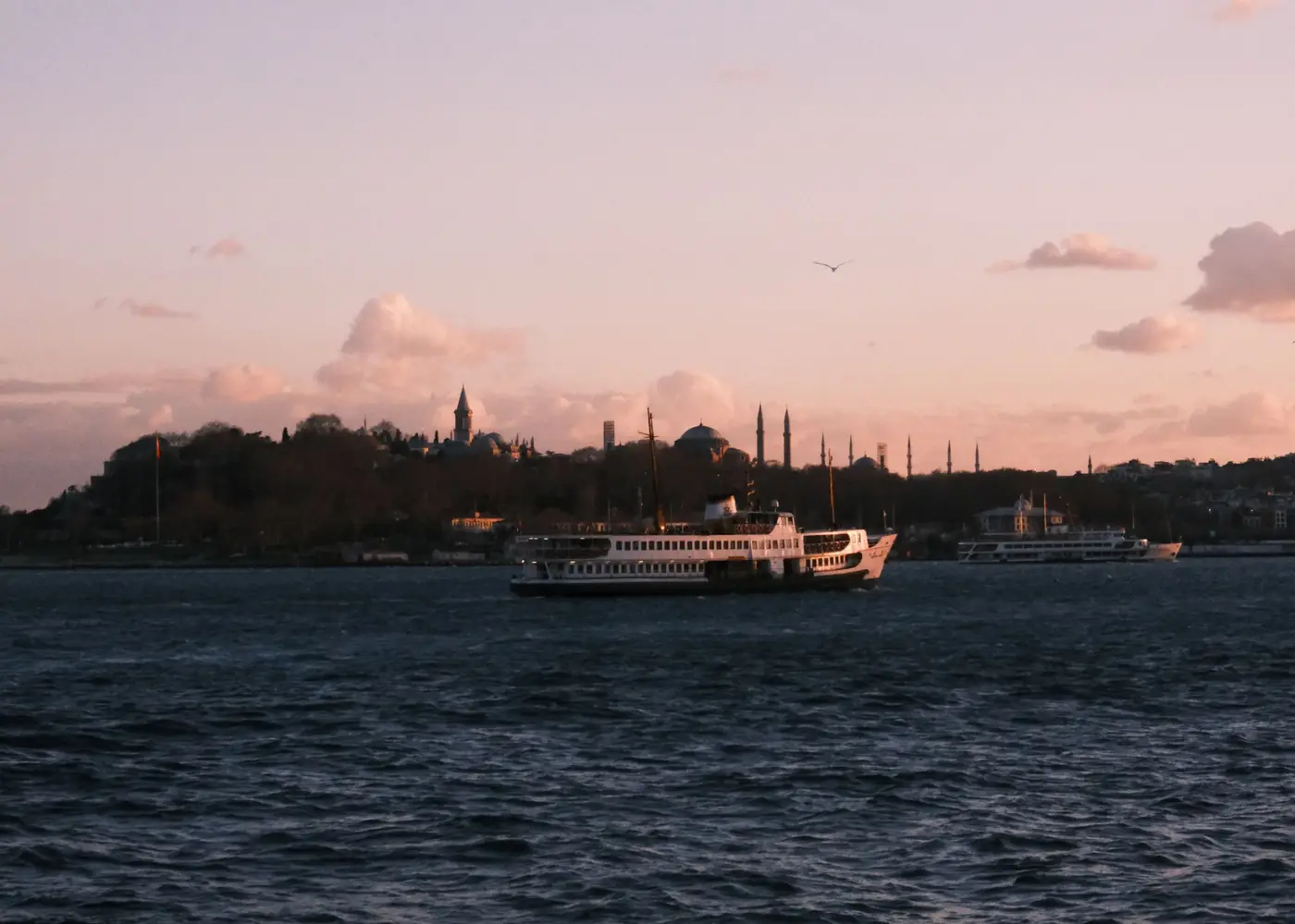 İletişim ve Randevu
